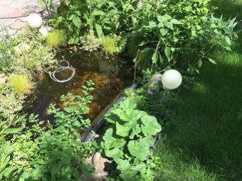 Ajo Garden - Contactless Check-in *